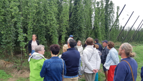 De moderne hopast bij Belhop