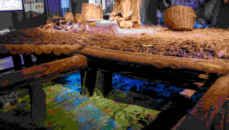 GEP 2025 | Architetture sommerse: viaggio virtuale nelle palafitte preistoriche