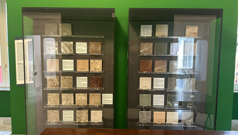 GEP 2025 | Apertura straordinaria del Centro Musei delle Scienze Naturali e Fisiche