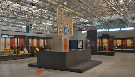 GEP 2025 al MAP | Architetture del vissuto | Mare Nostrum | apertura serale