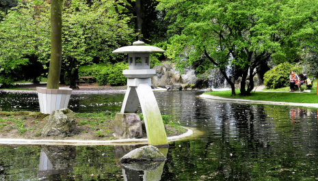 Familierondleiding 'Waar bomen honderduit vertellen' in het Citadelpark