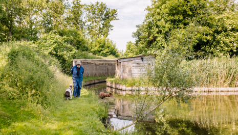 Eendenkooi Nieuw Onrust