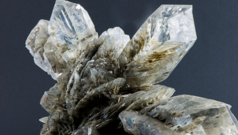 LE PIETRE DELLA CITTÀ  - Visita guidata itinerante