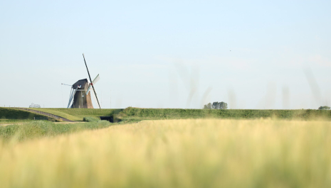 Poldermolen(complex) De Goliath