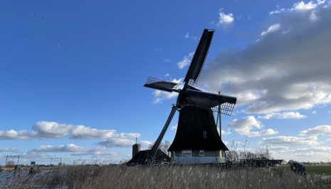 Grevensmolen in Vegelinsoord