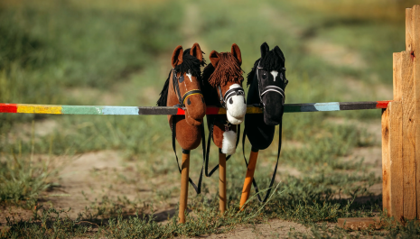 Hobbyhorsing in Park Nieuwe Koers