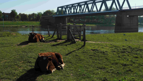 Wandeling Stadsland en Landgoed Sterrebosch