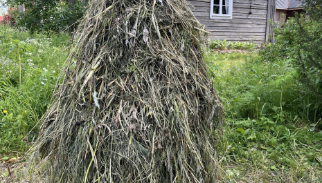 Striimattu luento: Suomalainen ruokahistoria