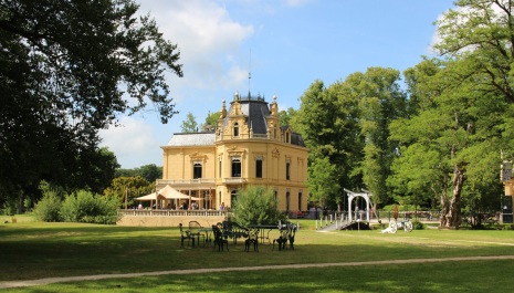 Leek | Borg Nienoord