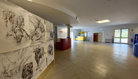 GEP 2025 - Museo Paleontologico Luigi Boldrini di Pietrafitta. Eventi diurni