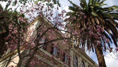 Istituto Centrale per la Patologia degli Archivi e del Libro - Dal giardino alla carta: vieni a scoprire l'Icpal - GEP diurna