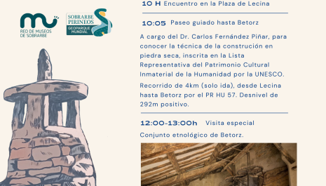 Cartel de la actividad