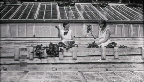 Kalliokosken lasitehtaan ympäristön kävelykierros