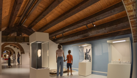 Museo Archeologico Nazionale di Verona | 27 settembre | Giornate Europee del Patrimonio - apertura serale straordinaria