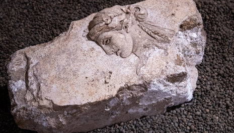 DENTRO LA STANZA – attività educativa e visita a tema