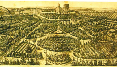 Groene Grondleggers: De Michiels-dynastie en het tuinlandschap van Scherpenheuvel