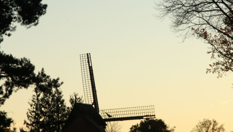 Molenaar voor een dag! - De Heimolen van Keerbergen