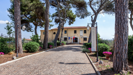 Urbanistica, Architettura e Creatività al Museo Lavinium