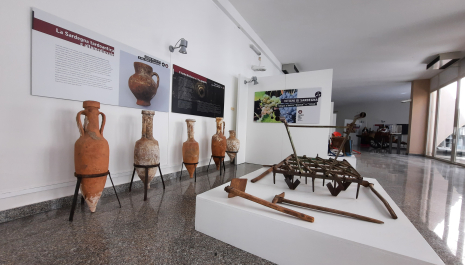 Gli strumenti del vino: attrezzature tradizionali in vigna e in cantina