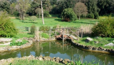 GEP 2025 Taccuini di viaggio nel Parco di Villa il Ventaglio