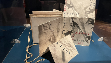 Per imagines. Classici latini e libri d'artista da Dürer a Picasso