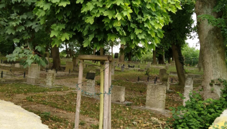 „PAMIĘĆ I HISTORIA” – WYCIECZKA DO LAPIDARIUM Organizator