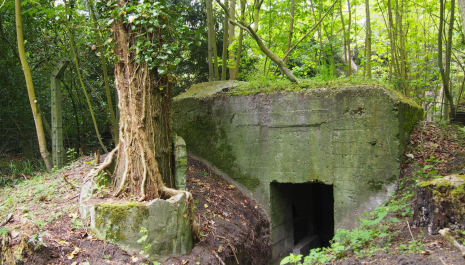 Bunkercomplex Rijksdorp