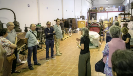 Visita a les reserves del Vinseum