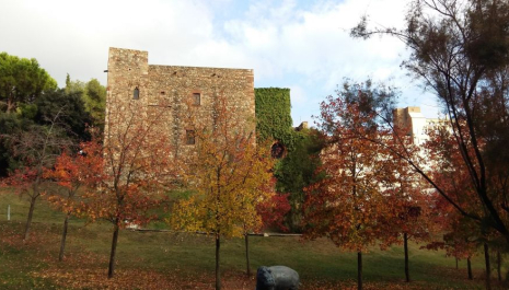 Portes obertes al Castell Cartoixa de Vallparadís