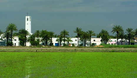 Ruta guiada al Poble Nou del Delta