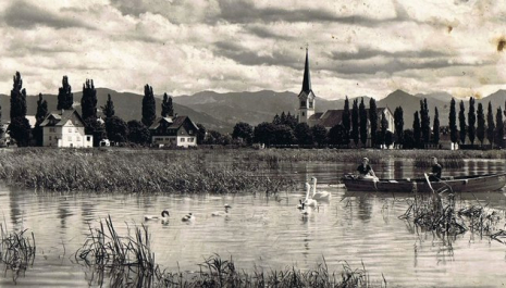 Die Seerunde in Hard: Eine Entdeckungsreise rund um den See