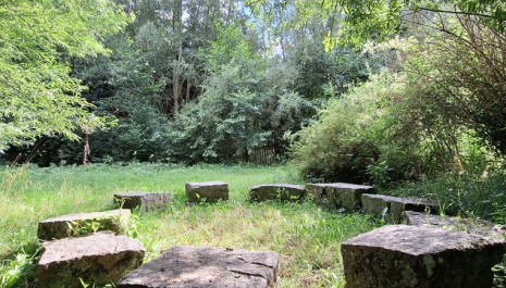 Kraftplätze in Meggenhofen