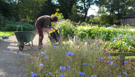 Royal Edinburgh Hospital Community Gardens