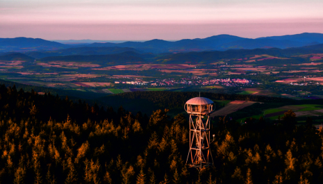 W stronę architektury. Piknik pod wieżą Organizator