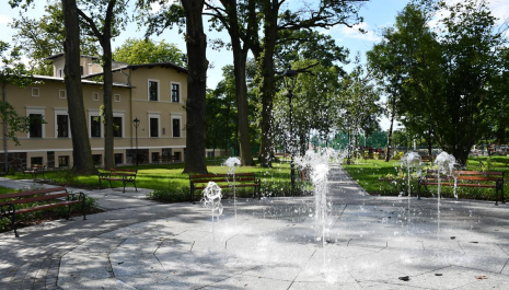 Wernisaż wystawy poplenerowej „Sicienko naturalnie 2025” Organizator