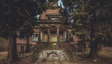 Dzień otwarty ogrodów Willi Konrad Organizator