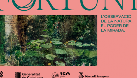Visita a l'exposició Fortuny, l'observació de la natura