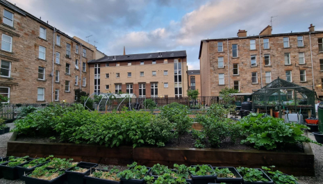 G3 Growers Community Garden