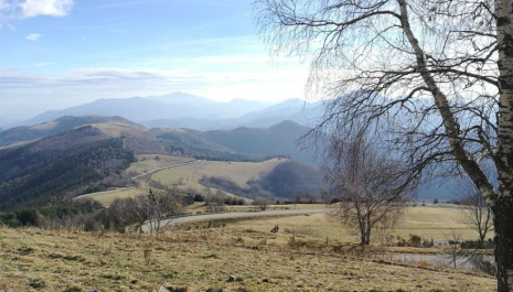 Conferència: El tractat dels Pirineus/1659-1660:fets i mites