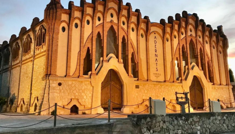 Visita guiada al celler cooperatiu de Nulles