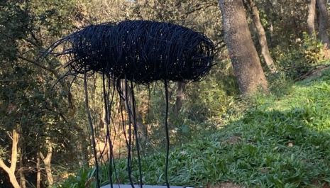 El bosc de pensar. Escultures de Diego Guirao