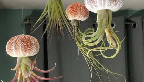 Duurzame workshops in Park Nieuwe Koers - kwallenhangers maken