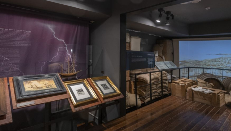 Visita guiada al Museu del Mar