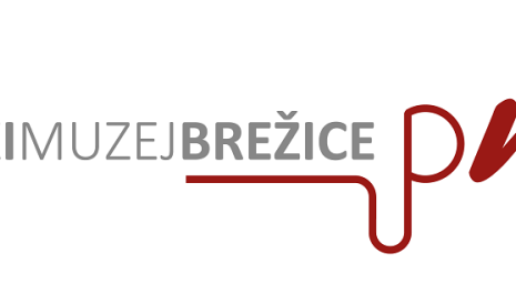 SEJEM ROKODELSKIH ZNANJ IN VEŠČIN IN BAROČNI DAN