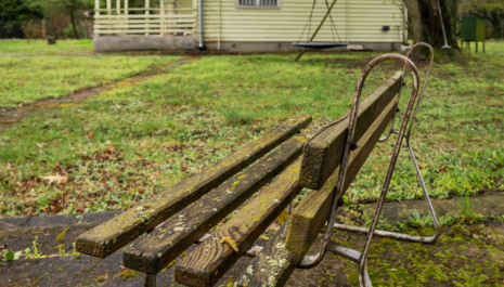 Jeszcze w zielone gramy… Zapraszamy do wnętrza Zielonej Willi Organizator