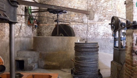 Visita guiada al Molí de l'Oli