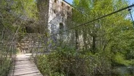 Visita al Molí la Vella: passat i futur