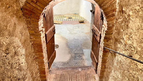 Architettura sotto sopra - Visita a Palazzo Venturelli