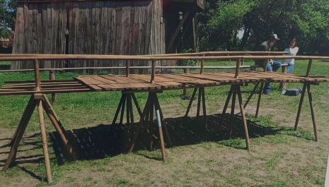 W stronę architektury. Młode dziedzictwo. Organizator