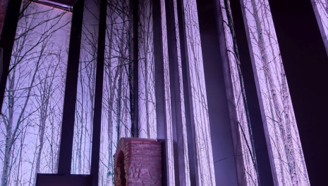 Portes Obertes al Museu Etnològic del Montseny